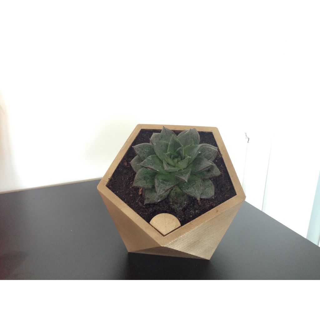 Vaso de flores penta autoirrigável