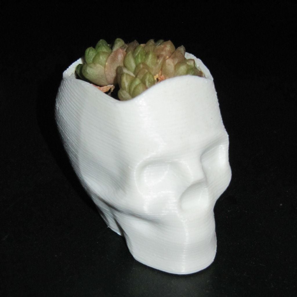 Vaso Isabelle, a Caveira