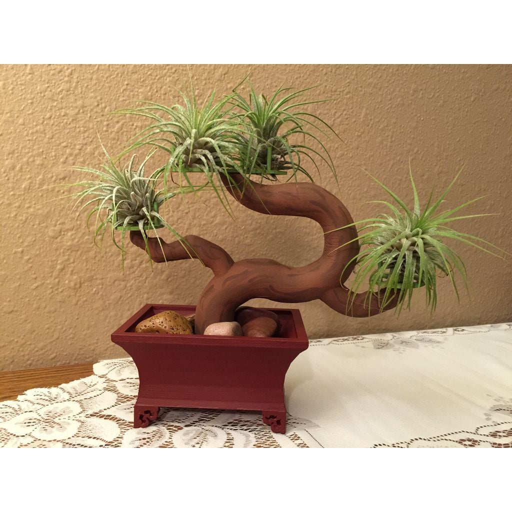 Bonsai Tree and Pot