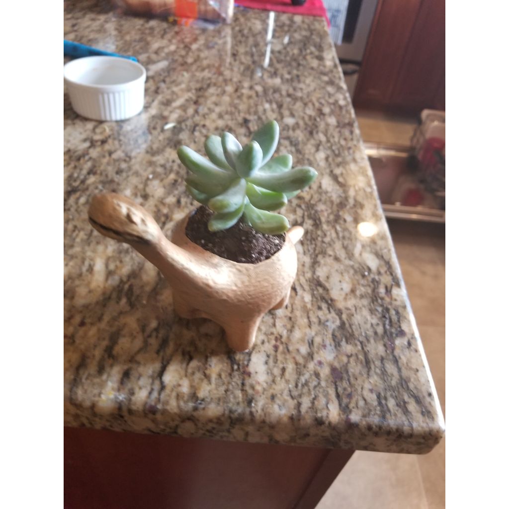 BrontoPot
