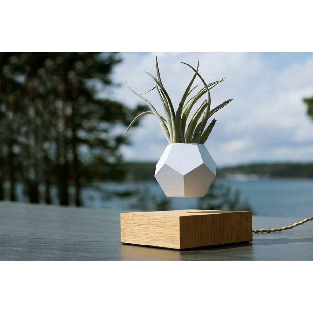 Vaso 3D geométrico dodecaedro decorativo em PLA