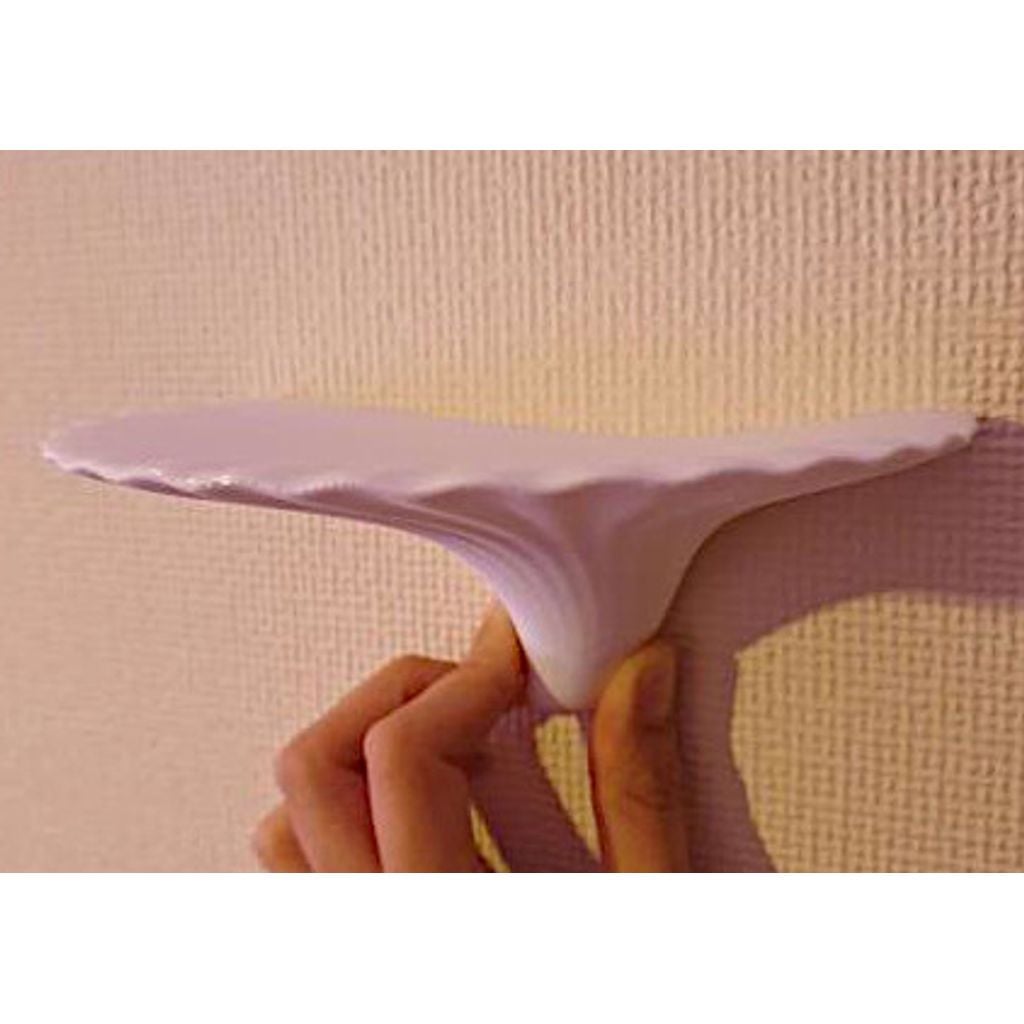 Shelf mushroom (polypore) with a wall mount