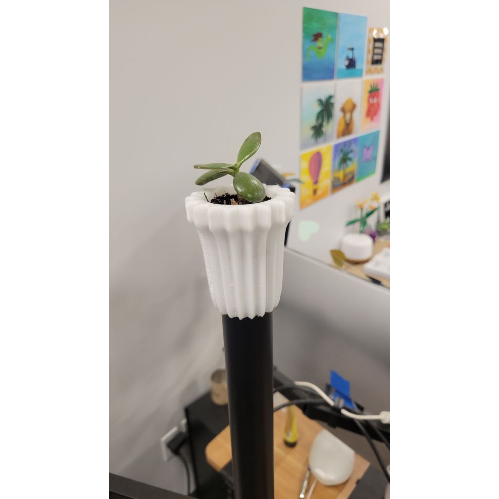 Boné para vaso de flores
