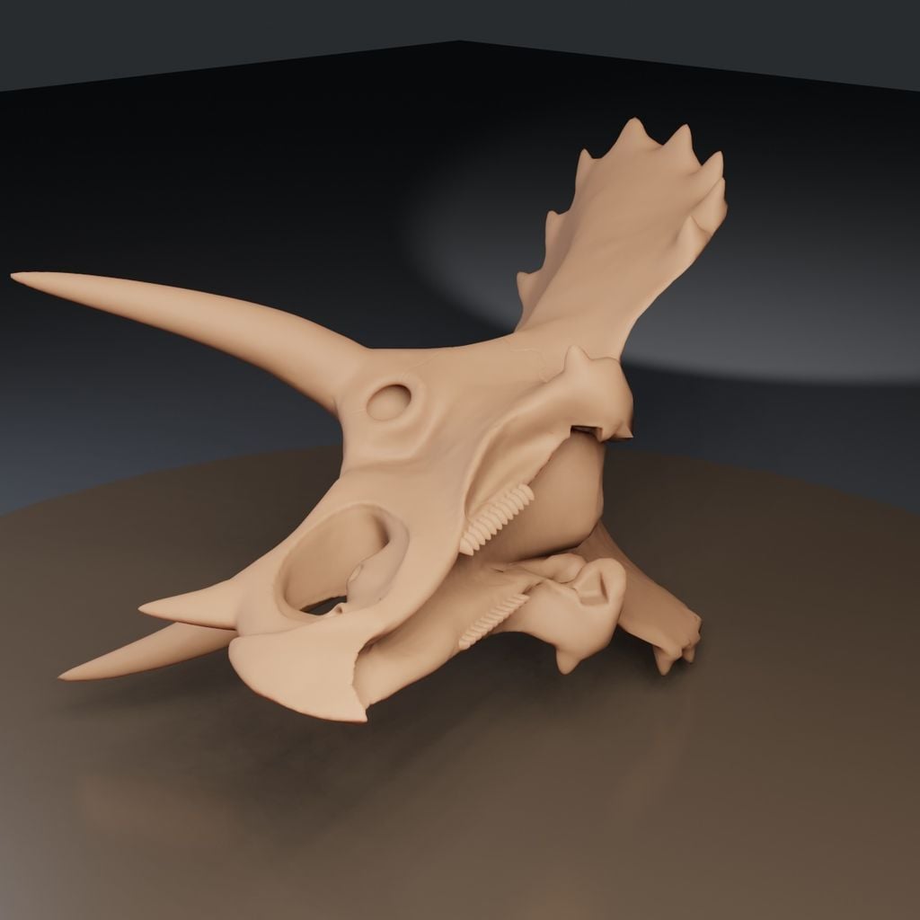 Triceratops Prorsus - esqueleto de museu de 26 peças